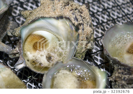 サザエの壷焼 サザエの壷焼 32392676