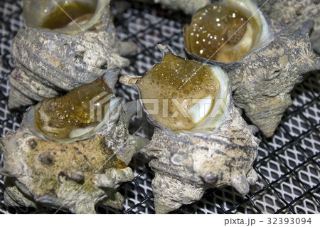 サザエの壷焼 サザエの壷焼 32393094