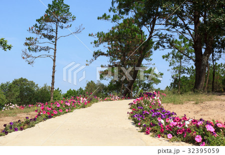 walkway in the park 32395059