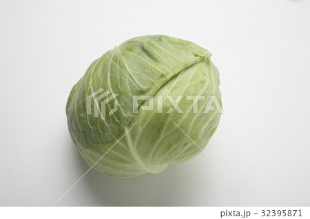キャベツ 32395871
