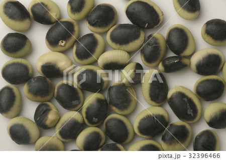 大豆 大豆 32396466