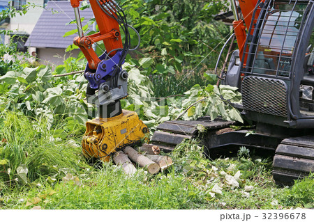 桐の木の伐採 32396678