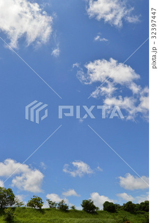 空 空 32397447