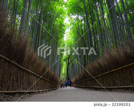 Bamboo grove at Arashiyama in Kyoto, Japan Bamboo grove at Arashiyama in Kyoto, Japan 32399201
