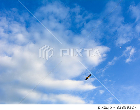 Eagle flying in the blue sky 32399327