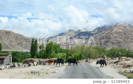 Mountain road in Ladakh, India 32399403