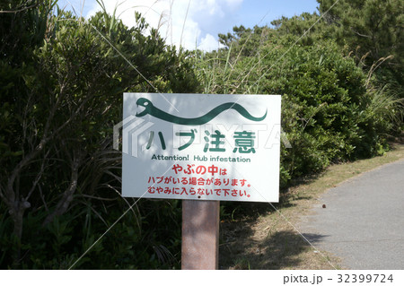 ハブ注意 32399724
