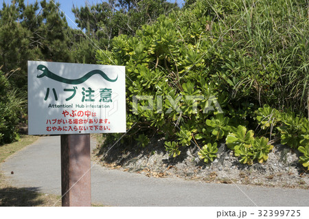 ハブ注意 32399725