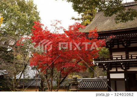 真っ赤に紅葉したモミジと山門が魅せる京都の秋 真っ赤に紅葉したモミジと山門が魅せる京都の秋 32401062