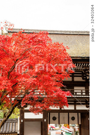 紅葉シーズンの行楽日和に訪れたモミジと山門がある風景 紅葉シーズンの行楽日和に訪れたモミジと山門がある風景 32401064