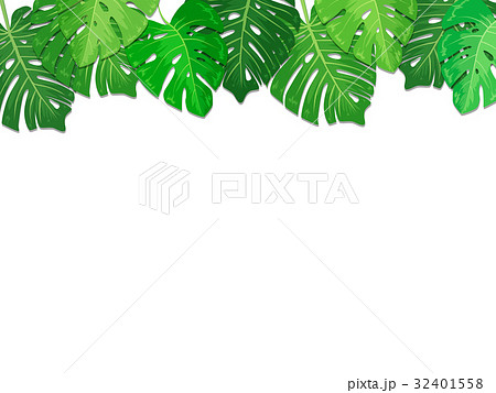 南国の葉っぱ ボタニカル フレーム 透過 のイラスト素材 32401558 Pixta