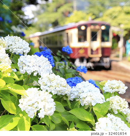 初夏のわたらせ渓谷鉄道 32401654
