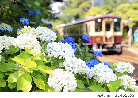 初夏のわたらせ渓谷鉄道 32401655