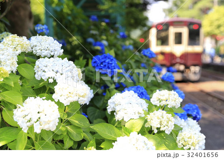 初夏のわたらせ渓谷鉄道 32401656