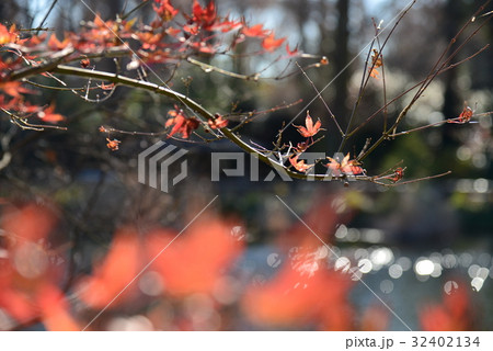 景色 風景 川 32402134