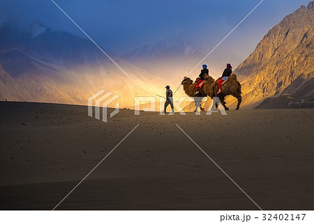 Camel safari in Nubra Valley, Ladakh, India Camel safari in Nubra Valley, Ladakh, India 32402147