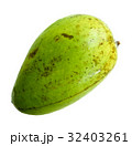 Mango fruit Nontoxic isolated on white background. 32403261