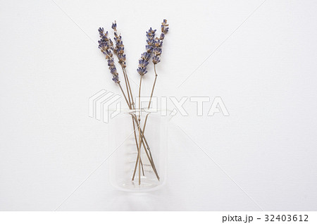 植物 工場 プランツ 32403612