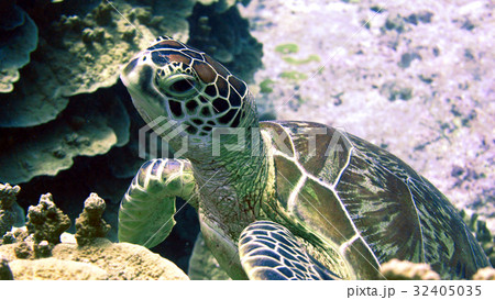 海 写真 海 写真 32405035