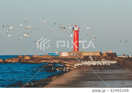 Seagulls against lighthouse 32405109