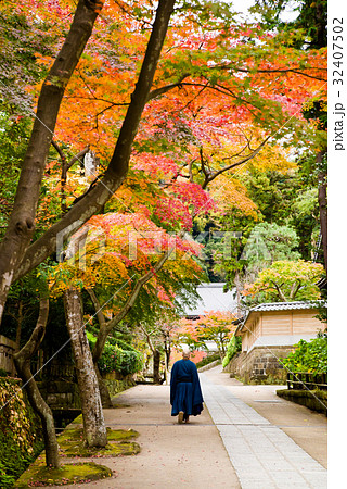鎌倉円覚寺 紅葉 32407502