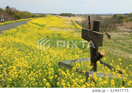 熊谷桜堤の風景 熊谷桜堤の風景 32407775
