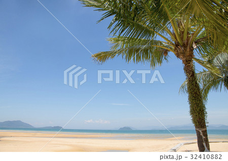 tropical beach with coconut palm tree 32410882