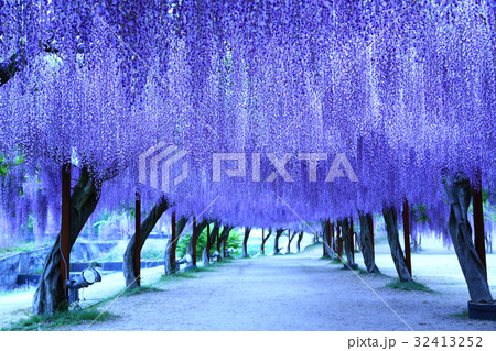 フジ2640- フジ2640- 32413252