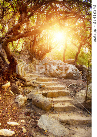 The Avakas canyon 32413543