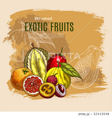Vector exotic durian, mango, papaya fruits poster Vector exotic durian, mango, papaya fruits poster 32415048