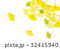 銀杏　紅葉　秋　背景 32415940