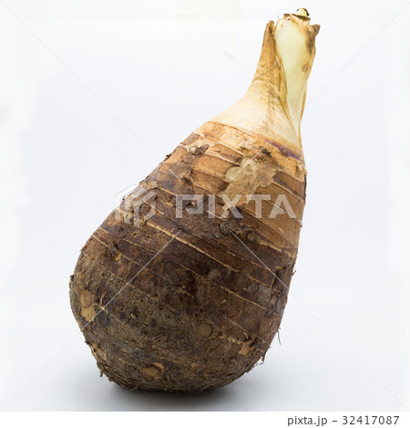 Fresh Taro on white background Fresh Taro on white background 32417087