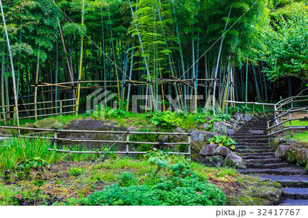 仙厳園 江南竹林 仙厳園 江南竹林 32417767