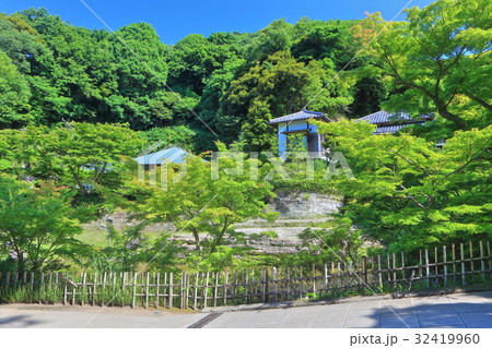 円覚寺妙香池 円覚寺妙香池 32419960