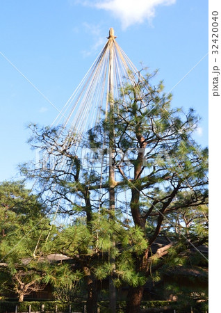 雪つり(兼六園/石川県金沢市) 雪つり(兼六園/石川県金沢市) 32420040