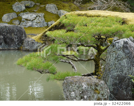 醍醐寺・三宝院庭園 32422066