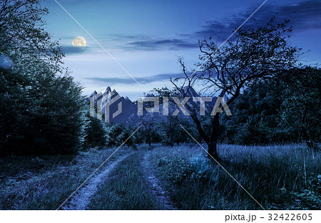 road through the orchard in mountains at night road through the orchard in mountains at night 32422605