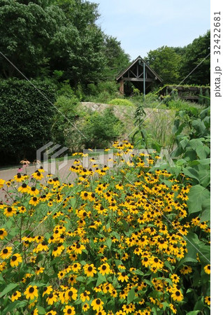 神戸布引ハーブ園 夏のいやしの庭 の写真素材