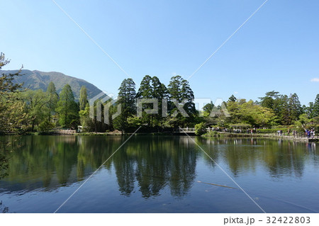 金鱗湖（４月末） 32422803