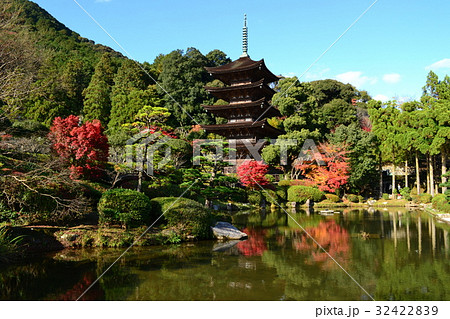 瑠璃光寺の紅葉 瑠璃光寺の紅葉 32422839