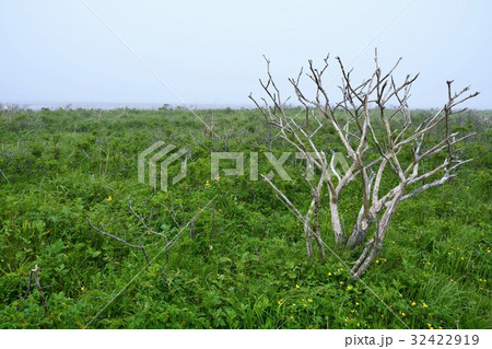 野付半島 北海道 野付半島 北海道 32422919