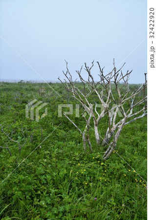 野付半島 北海道 野付半島 北海道 32422920