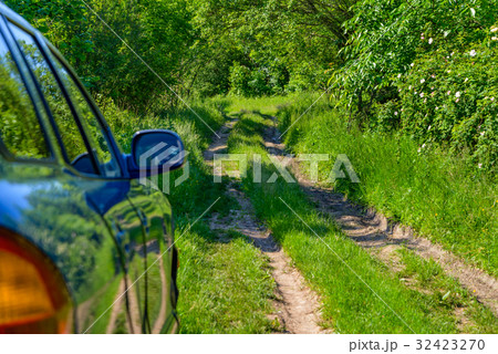 Blue car in forest 32423270