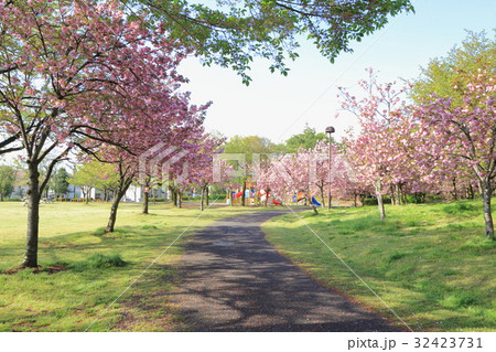 小山市　美しが丘公園 32423731