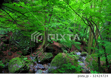 深山の渓谷 深山の渓谷 32424724