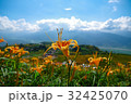 花蓮 ニッコウキスゲ キスゲ 32425070