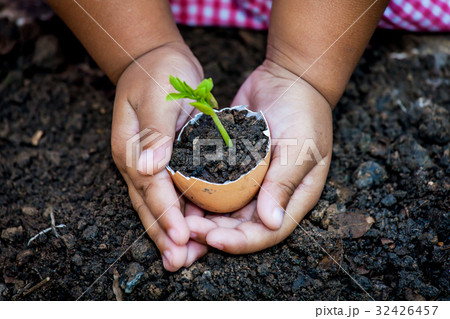 Child hand holding young tree in egg shell Child hand holding young tree in egg shell 32426457