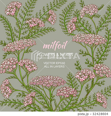 yarrow vector frame 32428604