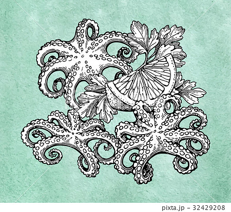 Octopus with lemon and parsley. 32429208