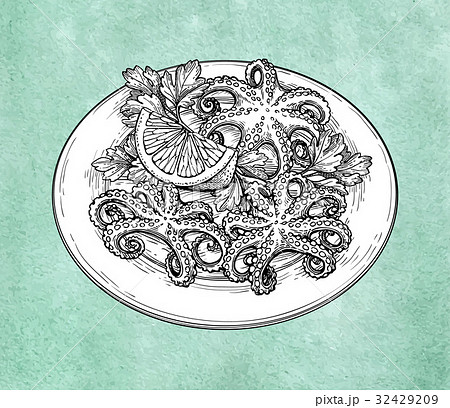Octopuses on plate 32429209
